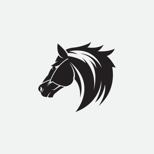 Iron Warbler - Options Trading