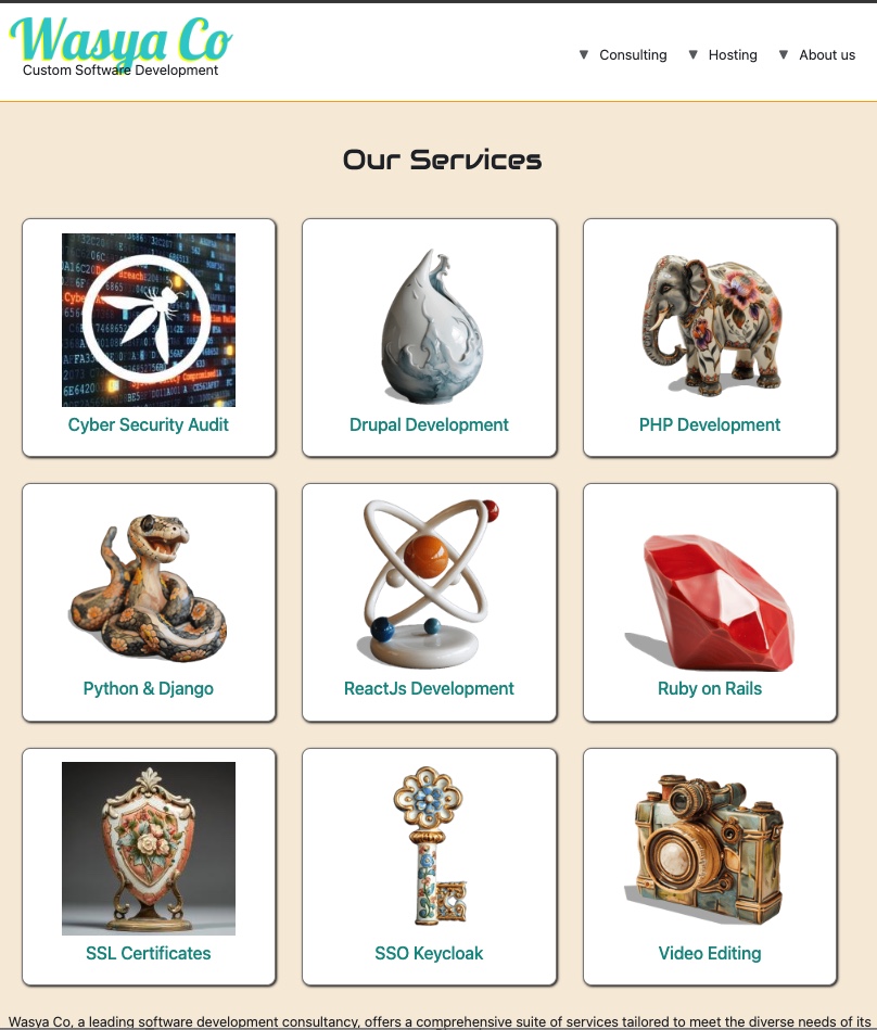 wasya co services we offer, web development and more