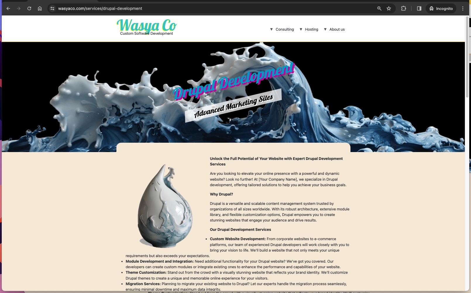 wasya co offers drupal development services